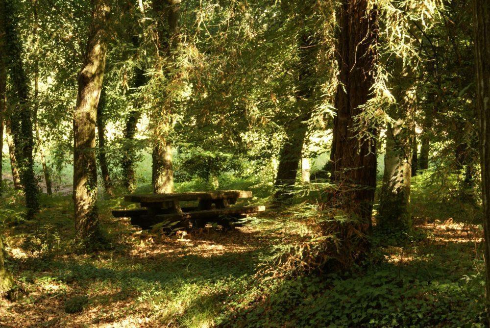 Quinta Da Fontoura Konuk evi Alquerubim Dış mekan fotoğraf