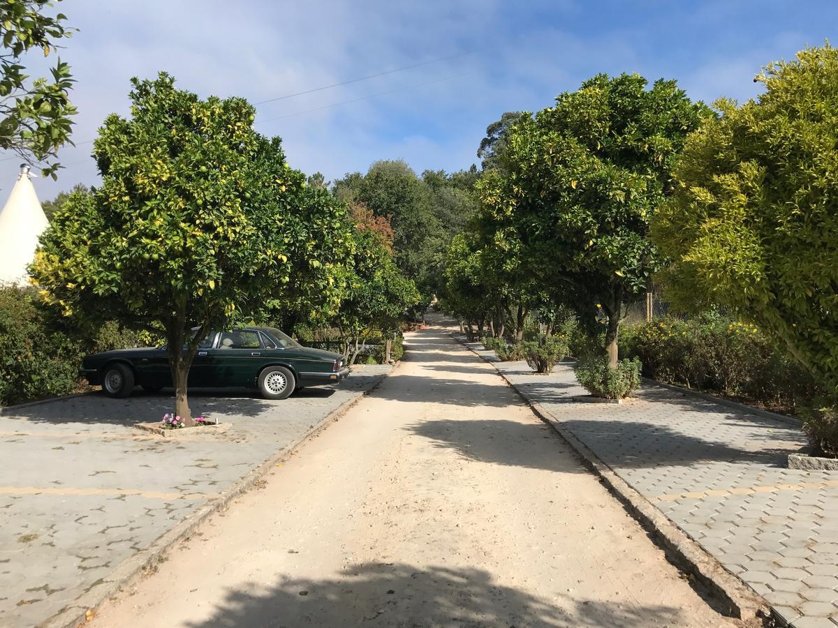 Quinta Da Fontoura Konuk evi Alquerubim Dış mekan fotoğraf